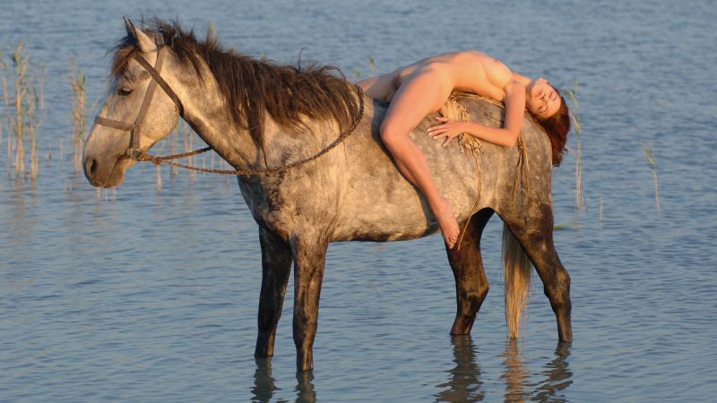 prsa, bruneta, model, nahý, bradavky, kůň prsa, bruneta, model, nahý, bradavky, kůň