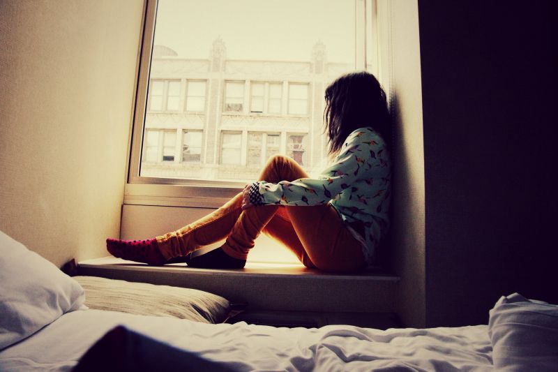 vogelstand, venster, wit, portret, bril, gebouw vogelstand, venster, wit, portret, bril, gebouw