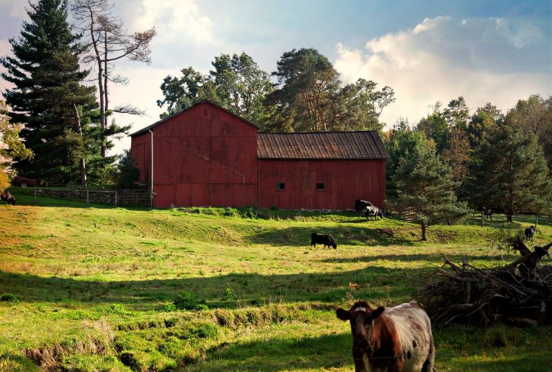 หญ้า, ท้องฟ้า, ต้นไม้, แนวนอน, เนินเขา, ฟิลด์ หญ้า, ท้องฟ้า, ต้นไม้, แนวนอน, เนินเขา, ฟิลด์
