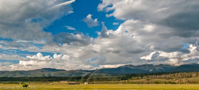 alberi, strada, parco, viaggio, blu, selvaggio alberi, strada, parco, viaggio, blu, selvaggio