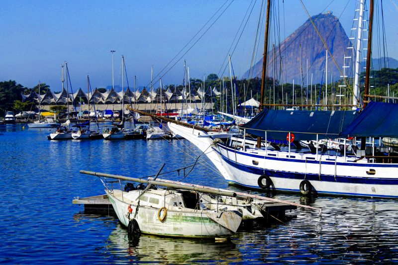 แสงแดด, แนวนอน, คน, ต้นไม้, สีขาว, แมว แสงแดด, แนวนอน, คน, ต้นไม้, สีขาว, แมว