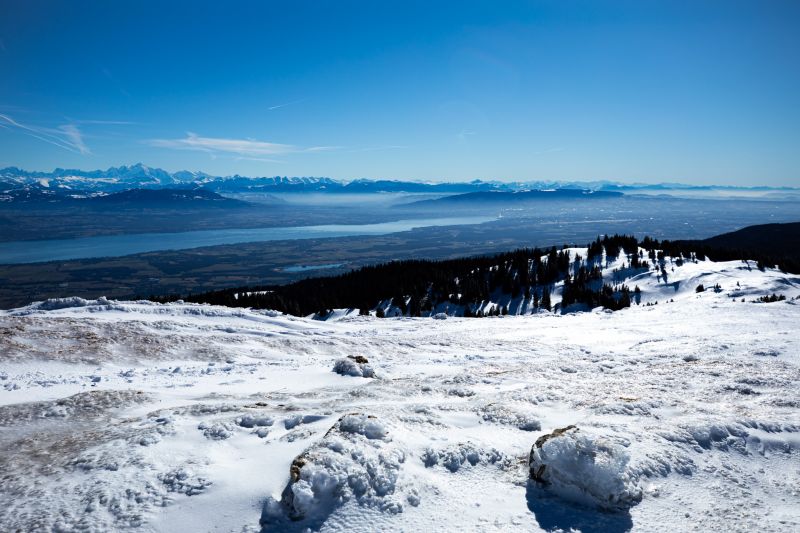 fotografia, natura, paesaggio, alberi, foresta, rocce fotografia, natura, paesaggio, alberi, foresta, rocce