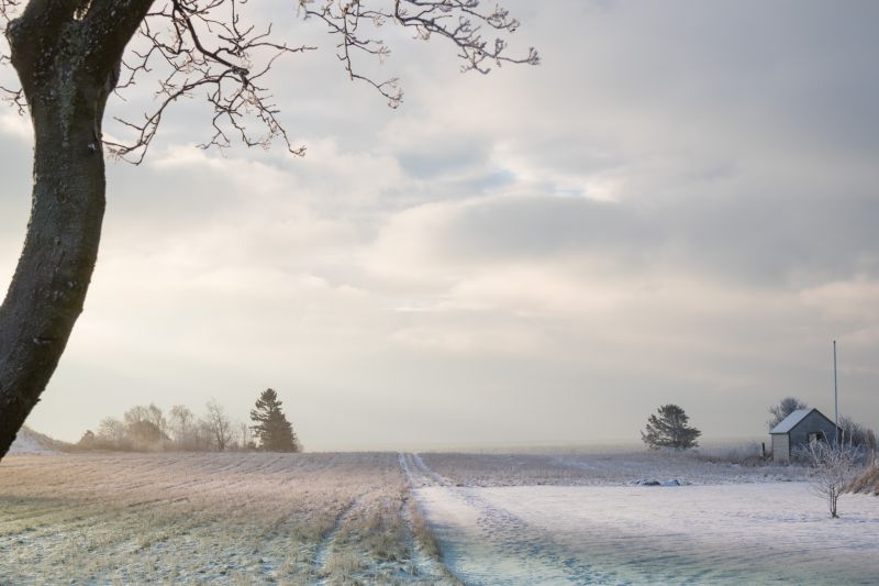 Sonnenlicht, Landschaft, Himmel, Schnee, Winter, Ast Sonnenlicht, Landschaft, Himmel, Schnee, Winter, Ast