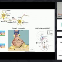 Diego Mendoza-Halliday teaching Neuroscience methods