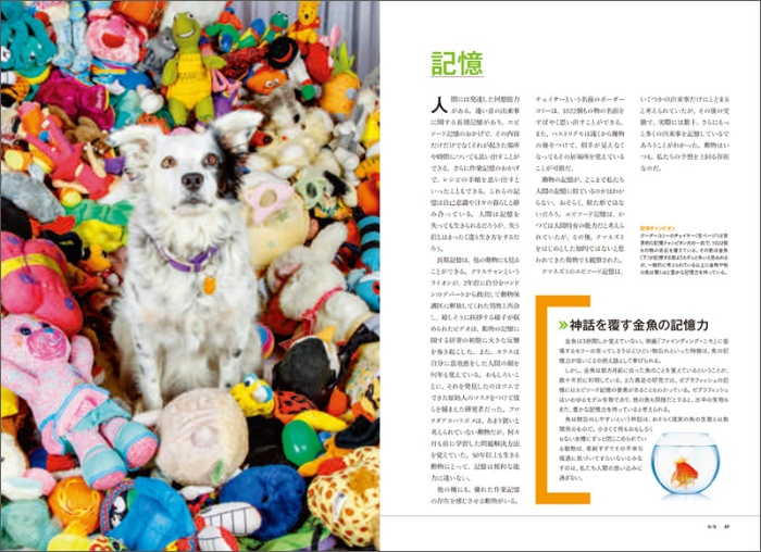 【ナショジオ別冊】動物の心 サンプル画像②