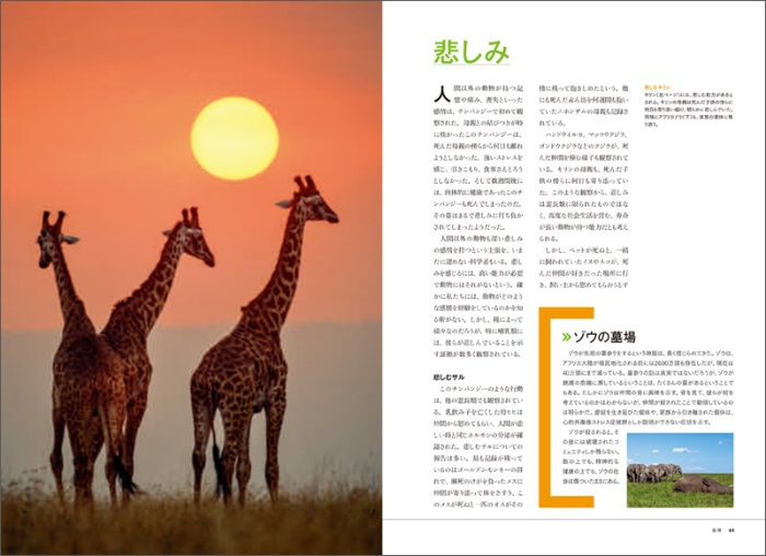 【ナショジオ別冊】動物の心 サンプル画像⑤