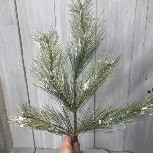 Silver Fir Stem XP30180
