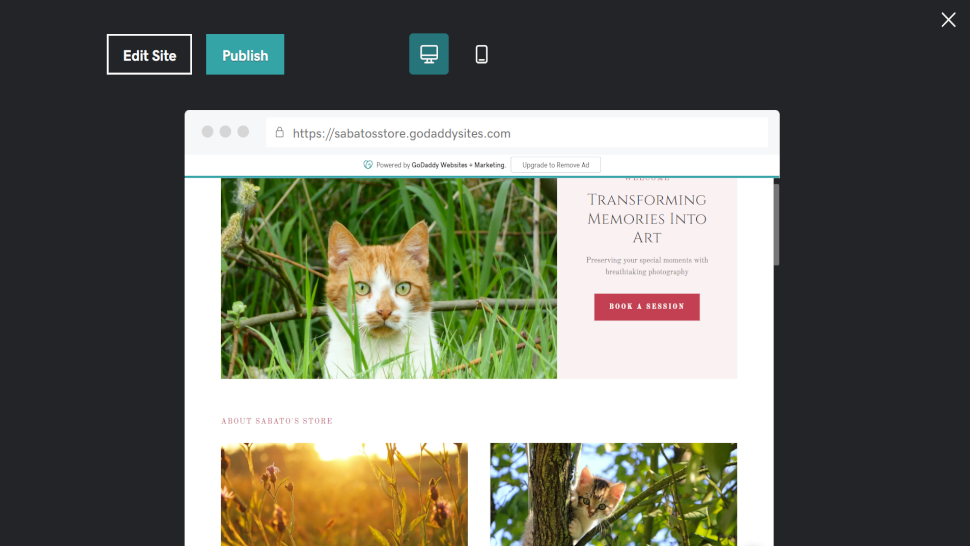 example of godaddy template being used
