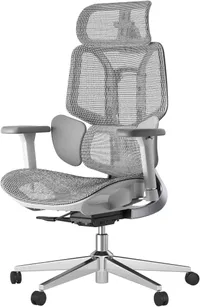 Hbada E3 Air Ergonomic Office Chair Hbada E3 Air Ergonomic Office Chair