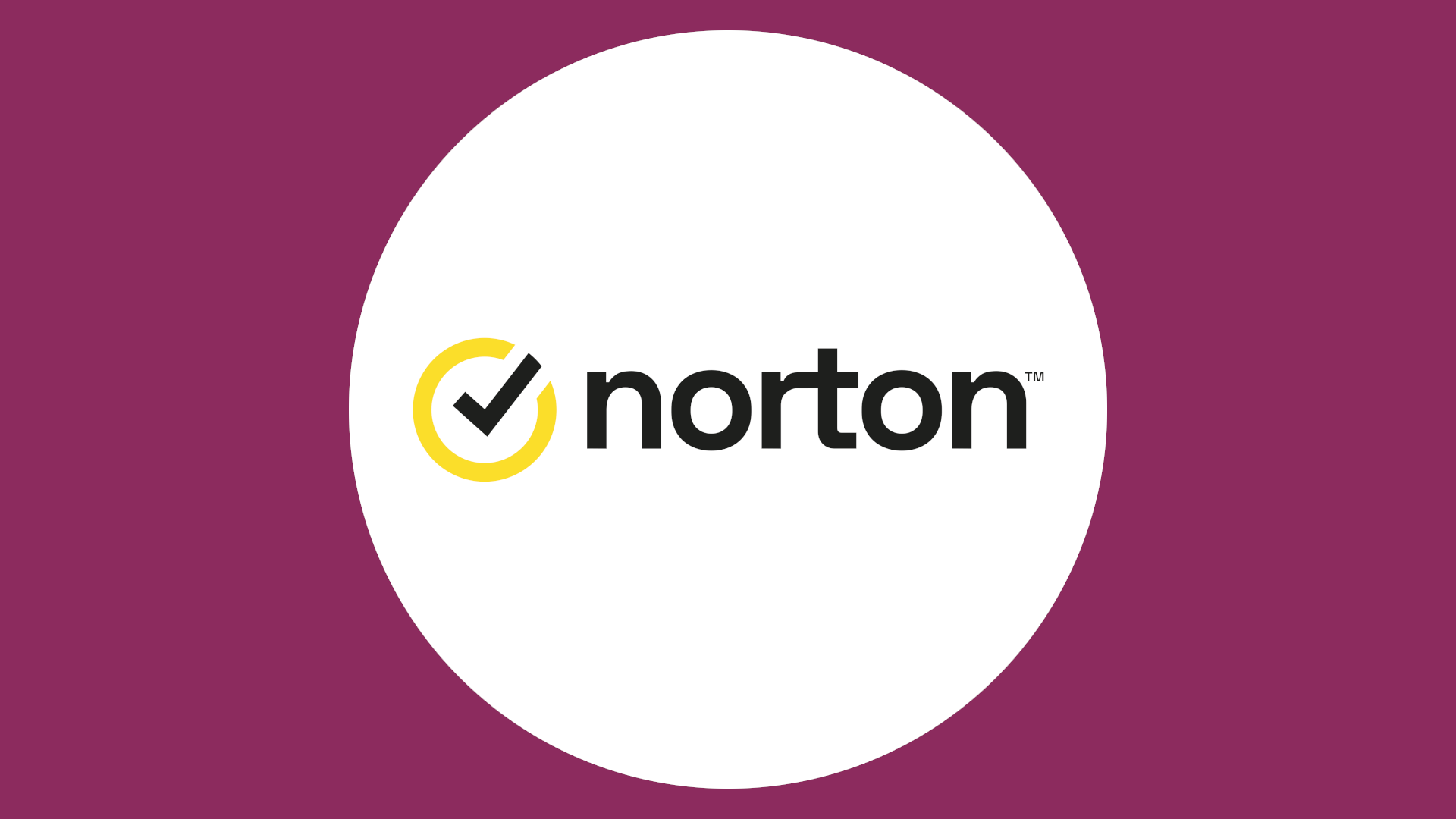 Norton logo header