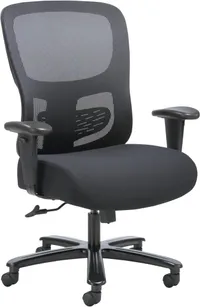 Hon Sadie Big and Tall ergonomic office chair Hon Sadie Big and Tall ergonomic office chair