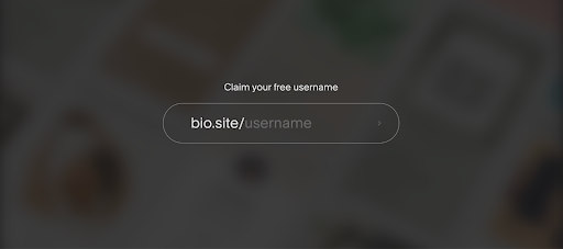 screenshot of Squarespace link in bio site in use