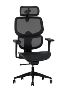 Flexispot C7 office chair Flexispot C7 office chair