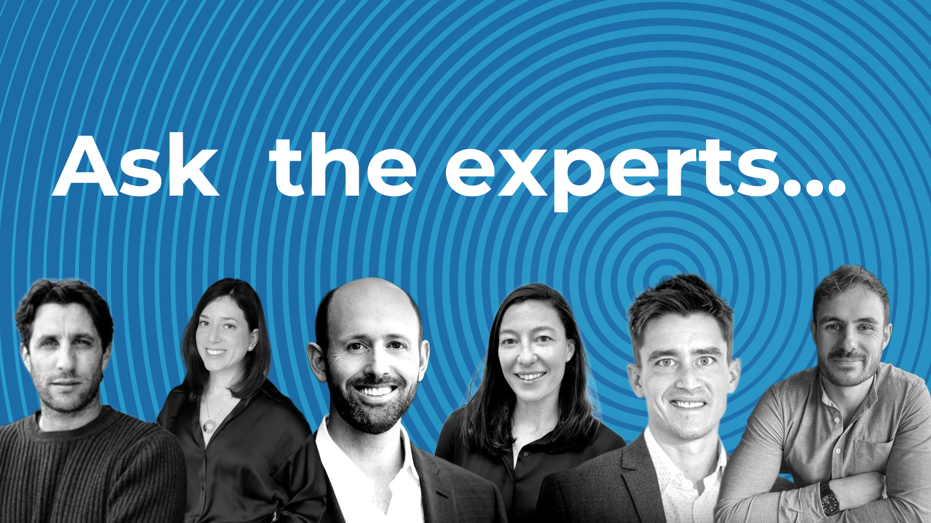 headshots of various website builder experts on a blue background 