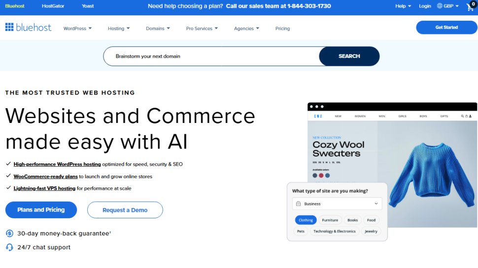 Website screenshot of Bluehost (September, 2025)