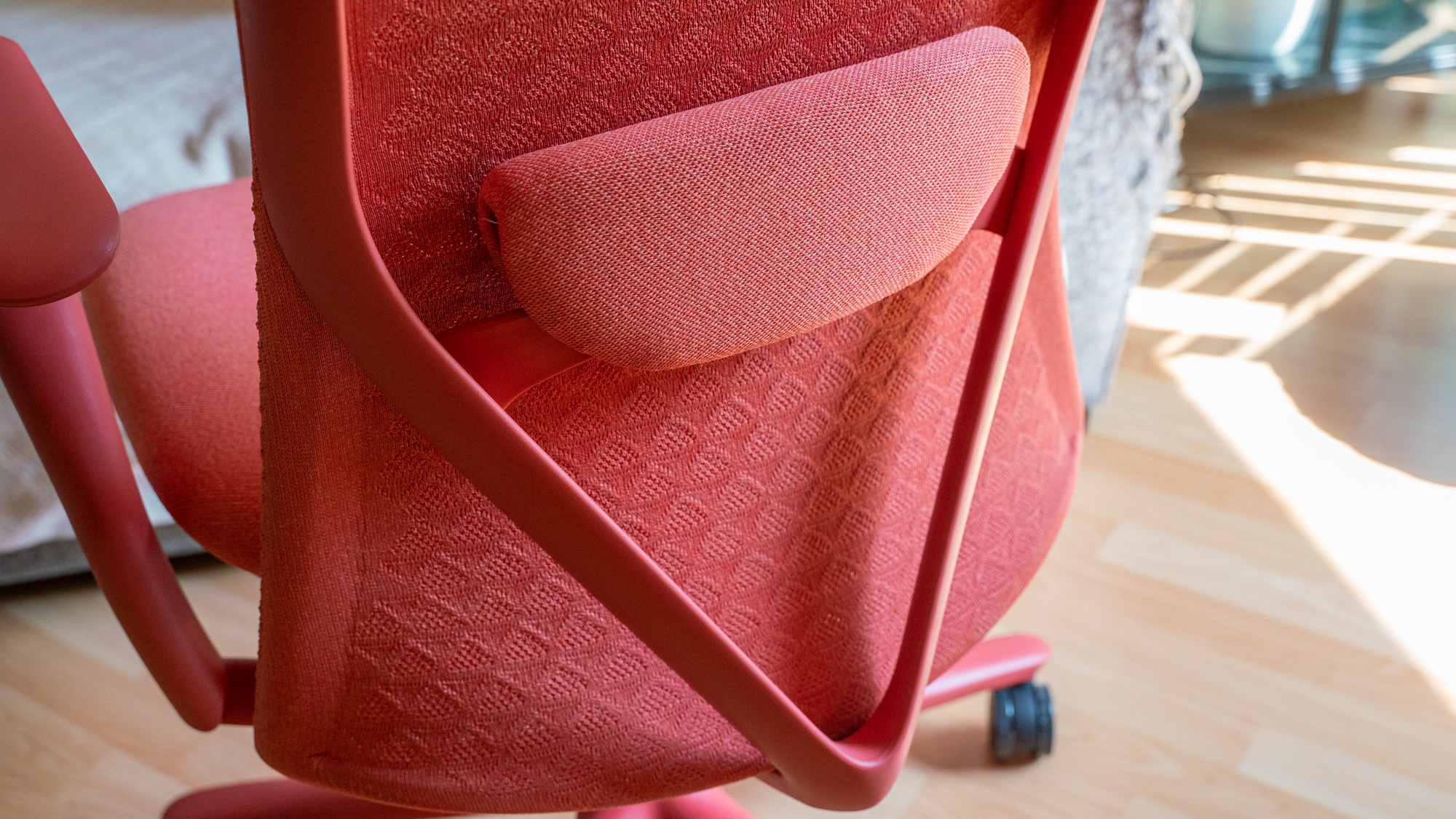 Showing the rear and lumbar support of Branch Verve in coral in a living room