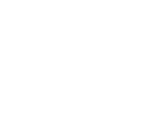 Spartan Logo