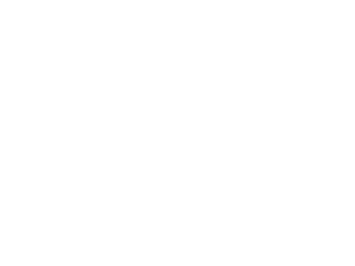 Wave Capital Logo