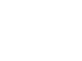 Signia Venture Partners Logo