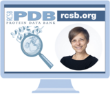 Register for the January 26 Webinar on Advanced Search