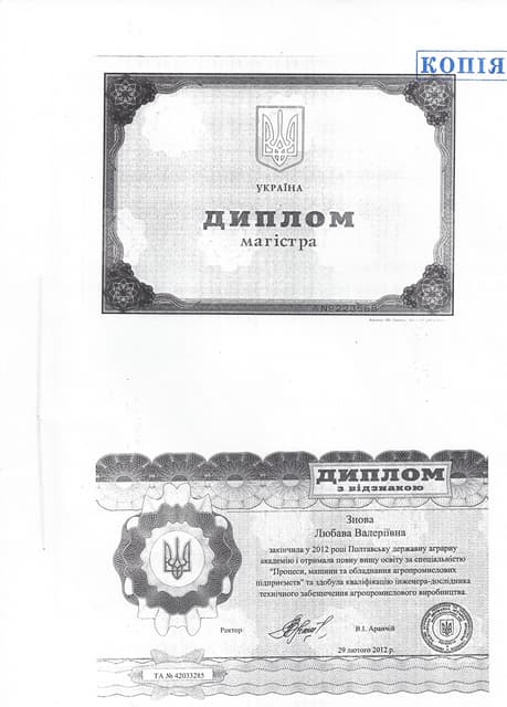 Diplom Master
