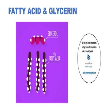 Fatty acid & Glycerin : Projects Information