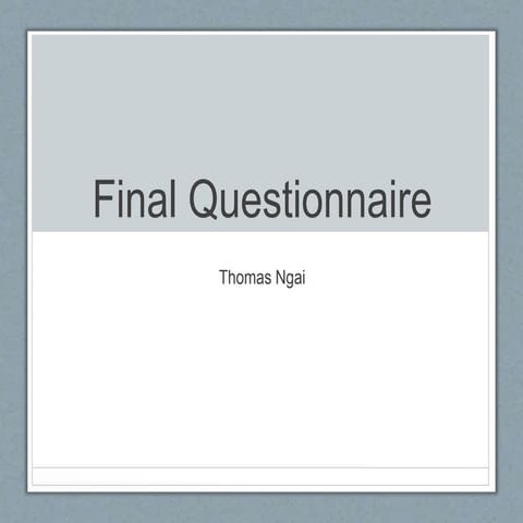 Final questionnaire 