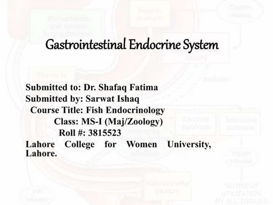 Gastrointestinal endocrine system ppt