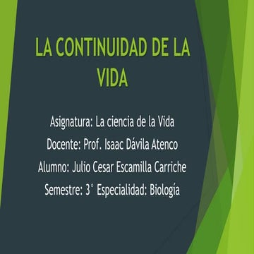 La continuidad de la vida