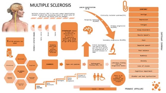 MS INFOGRAPHICS.pptx