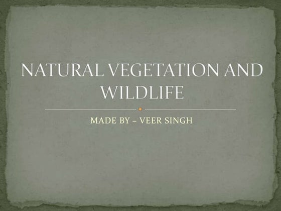 Natural vegetation and wildlife