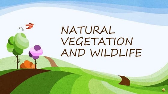 naturalvegetationandwildlife 