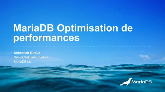 MariaDB Paris Workshop 2023 - Performance Optimization