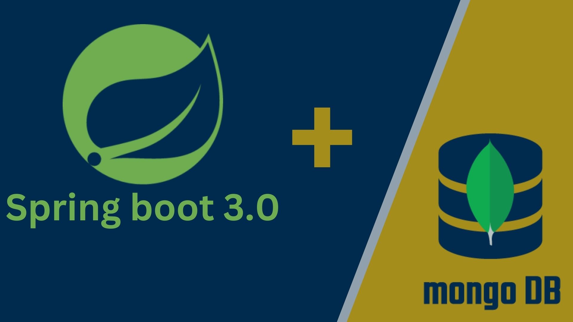 Master Spring boot 3.0 and MongoDB - The full course Master Spring boot 3.0 and MongoDB - The full course
