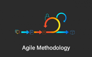 Agile Methodology Course for Beginners