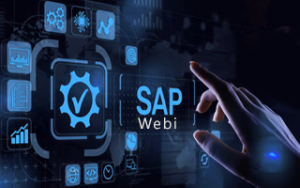 SAP Webi Online Training SAP Webi Online Training