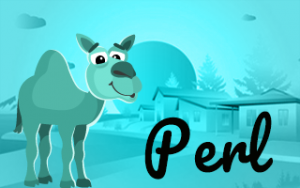 Perl Online Training