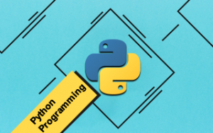 Python Programming Training Course
