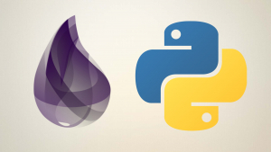 Python and Elixir Programming Bundle Course Python and Elixir Programming Bundle Course
