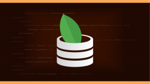 Mongo DB Course: Learn all about MongoDB