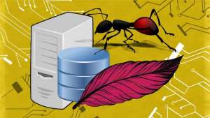 Learn Maven and Ant the easy way! Learn Maven and Ant the easy way!