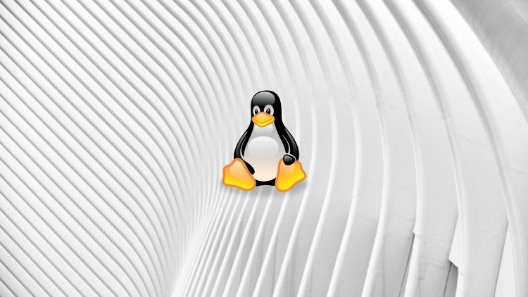 Linux for Data Engineers (Hands On) Linux for Data Engineers (Hands On)