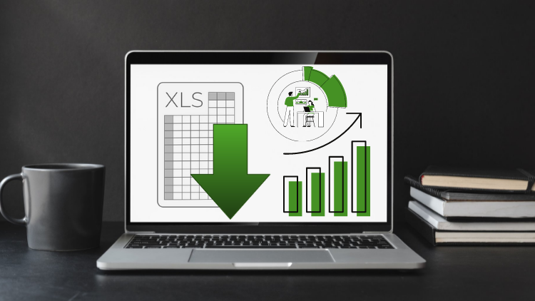 MS Excel Course : Data Analysis and Financial Analysis MS Excel Course : Data Analysis and Financial Analysis
