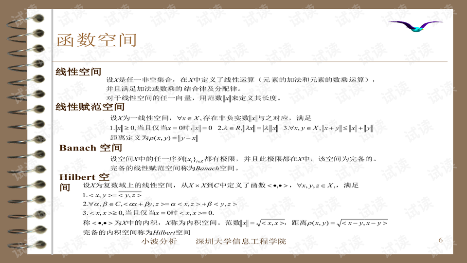 预览