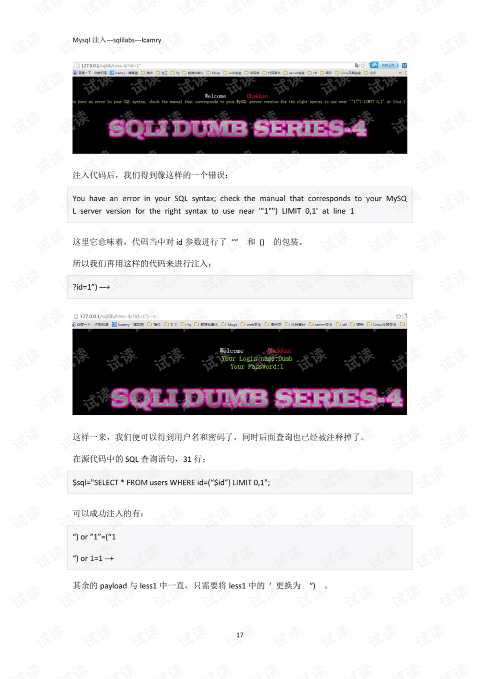 预览