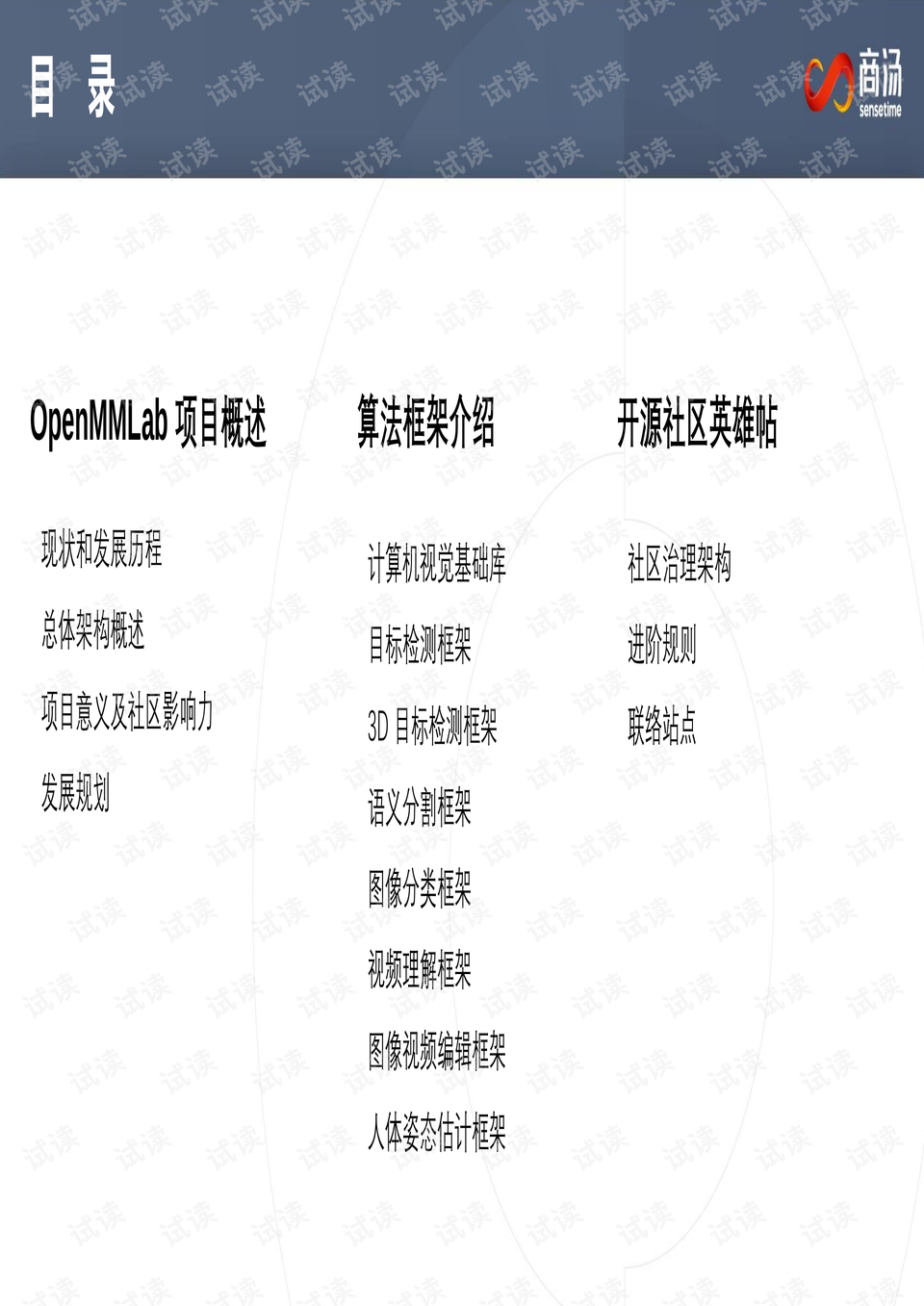 预览