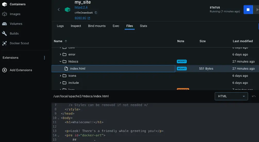 A screenshot of Docker Desktop Dashboard showing the mounted files inside the container