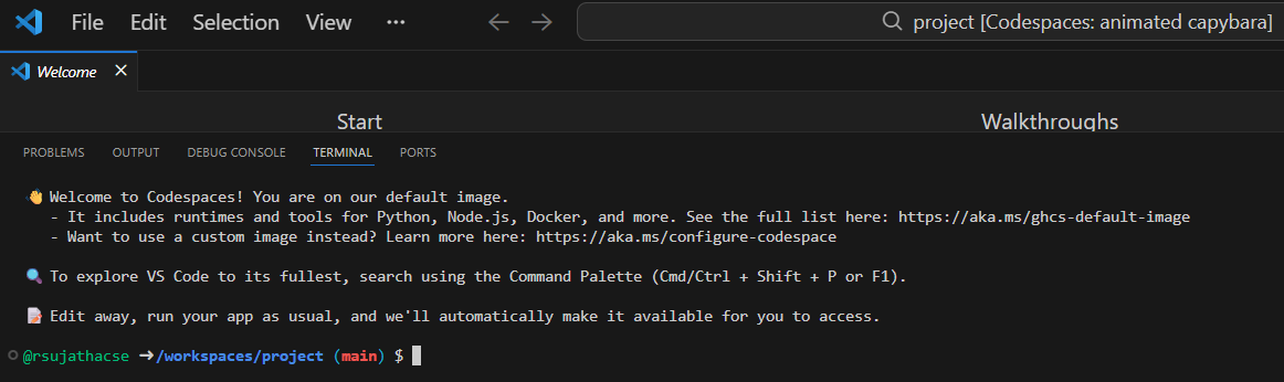 GitHub Codespaces IDE image