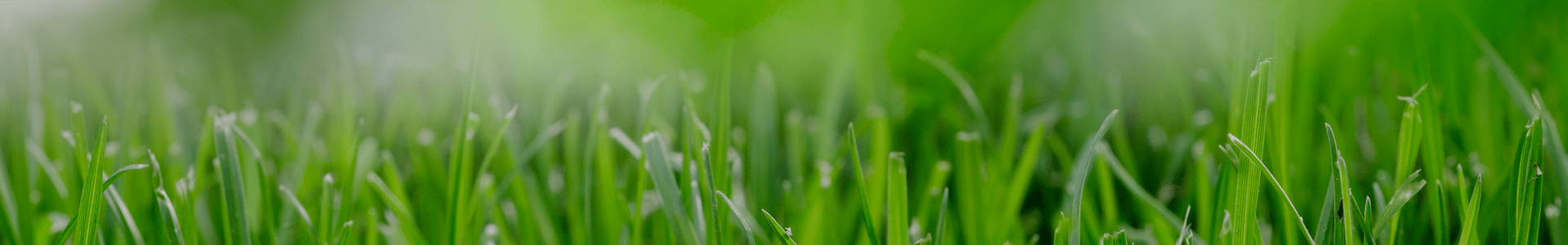 eltech-green-header-300