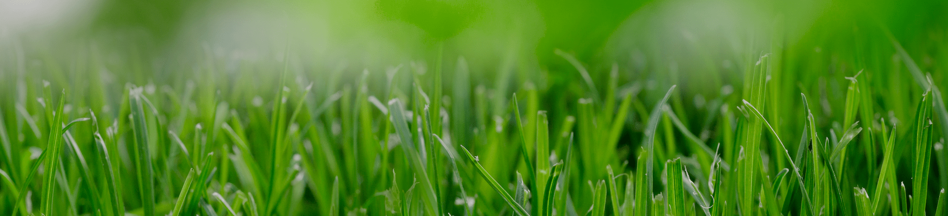 eltech-green-title